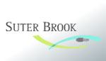 Port Moody Suter Brook Community of condos, townhomes and single family homes by Onni Group of Developers