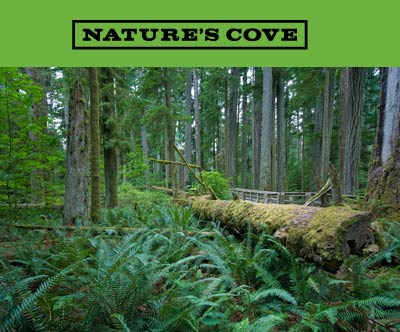 Mount Seymour Nature's Cove North Vancouver homes for sale - affordable and conveniently located